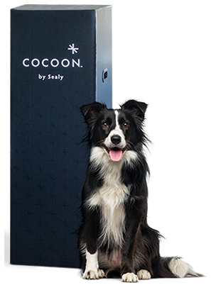 cocoon-dog-02b.png